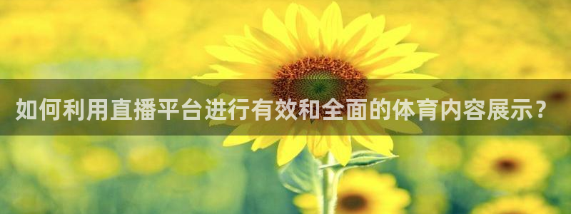 168全国开奖网地址