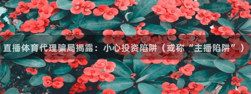 168全国开奖网地址