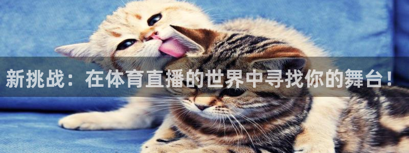 168全国开奖网链接