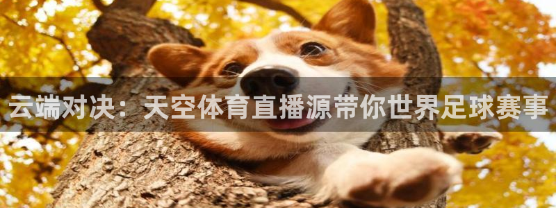 168全国统一开奖网下载